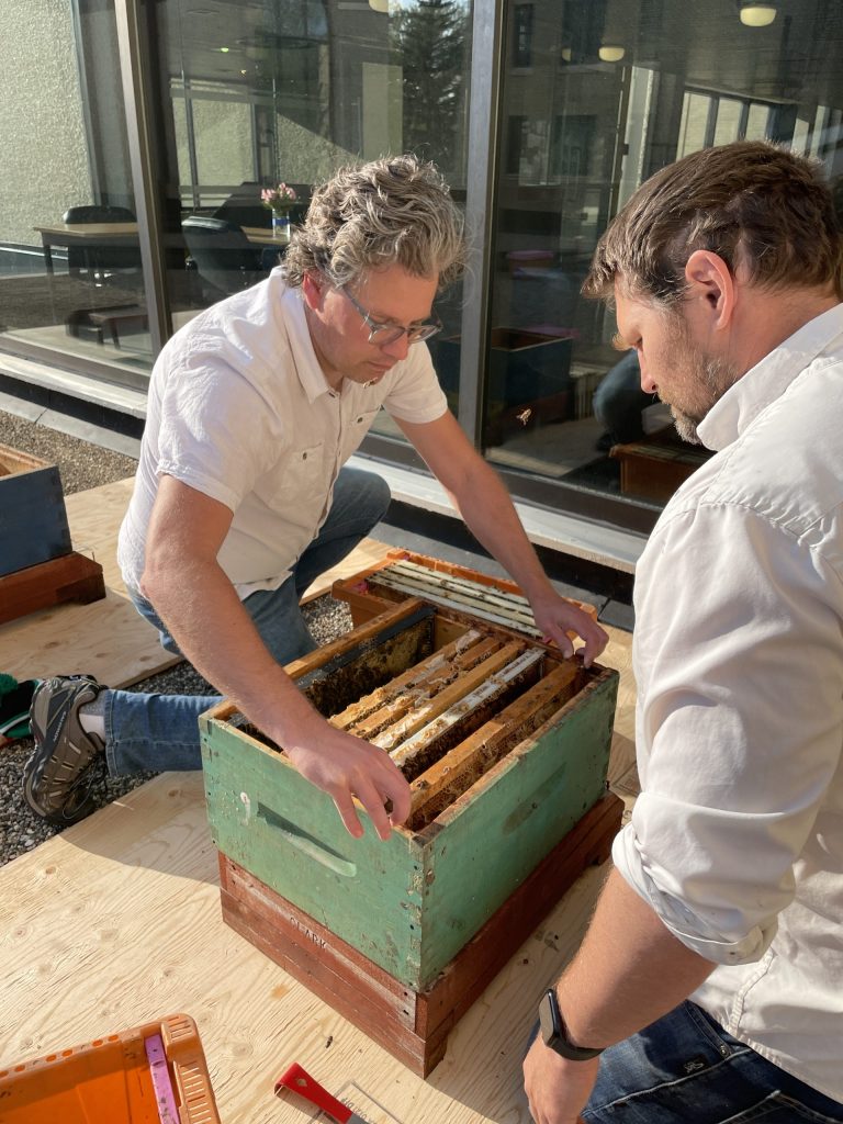 Two men in white shirts work at a bee hive.