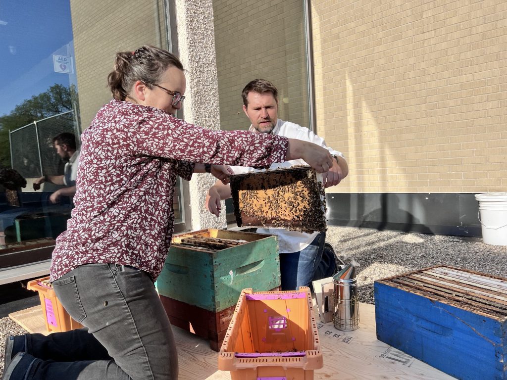Two people hold a honeycomb frame