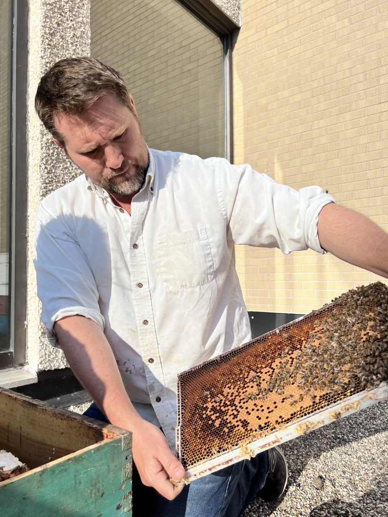 A man holds a honeycomb frame