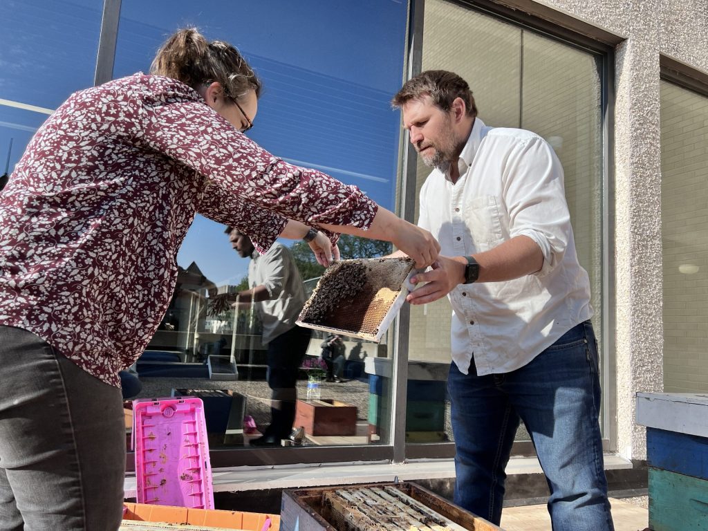 Two people hold a honeycomb frame