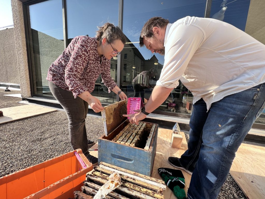 Two people hold a honeycomb frame