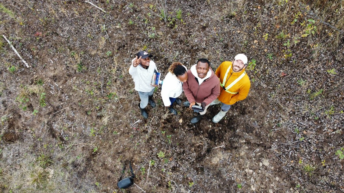 Four people stand in a peatlands field, looking up at a drone.