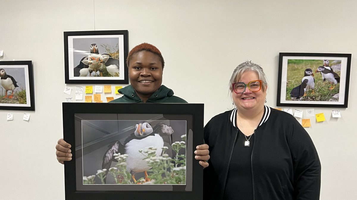 Two people stand with a framed portrait of a colourful bird.