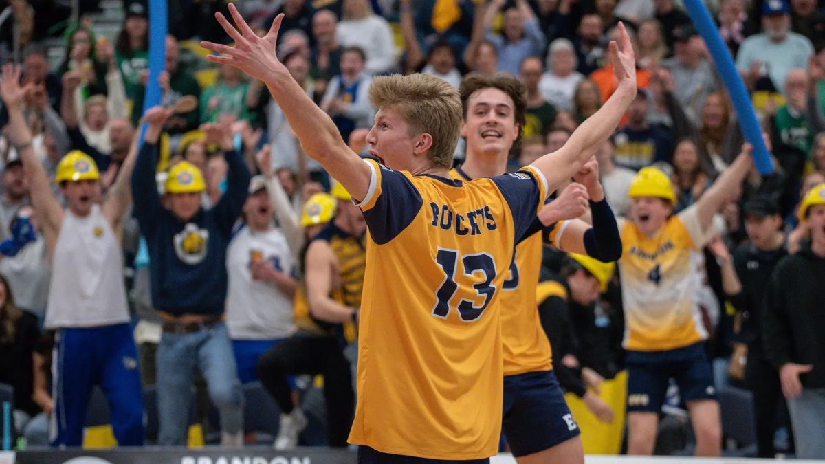 A volleyball player, shown from the back, holds his arms up in celebration in front of another player and a cheering crowd