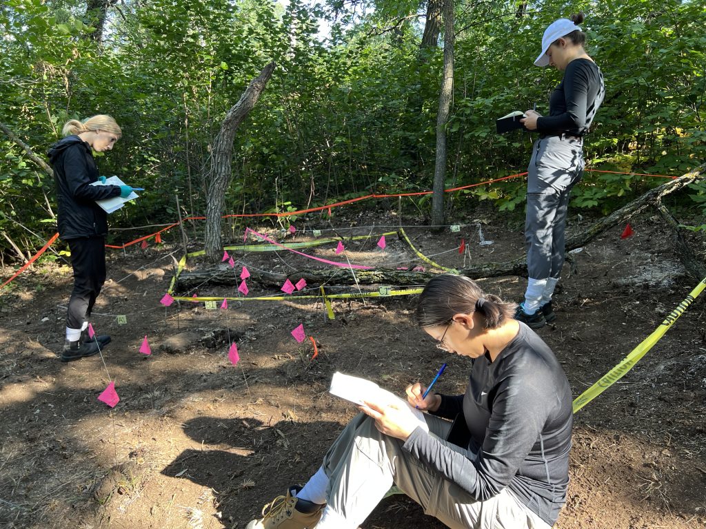 Three students are in a clearing in the forest surrounded by caution tape, with several spots marked with flags. Two of the students are standing and one is sitting. All three of them are writing in notebooks.