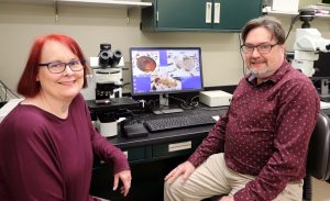 A woman and a man smile as they set with a microscope and a computer monitor showing fossils between them