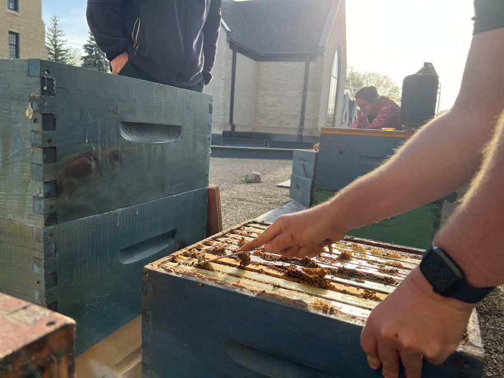 People scrape wax off a honeybee hive.