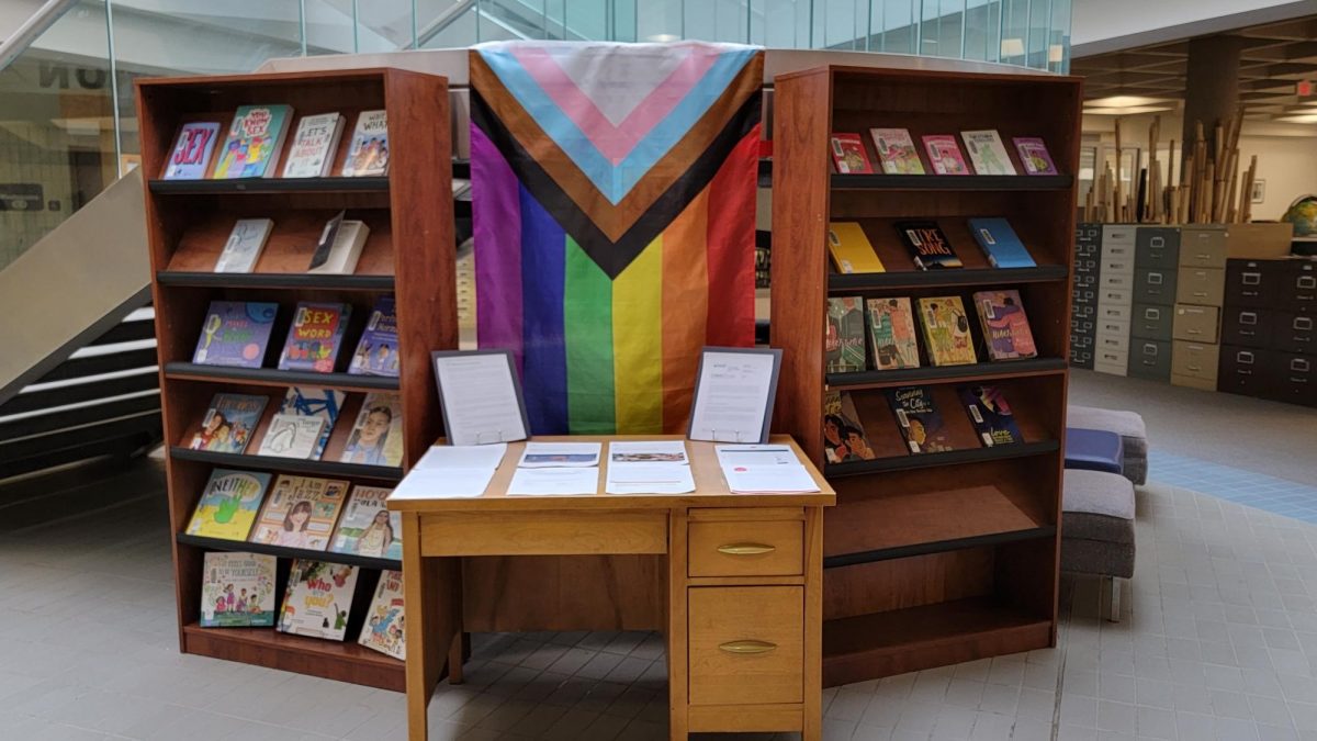 Two shelves of books with a Pride flag hanging between them.