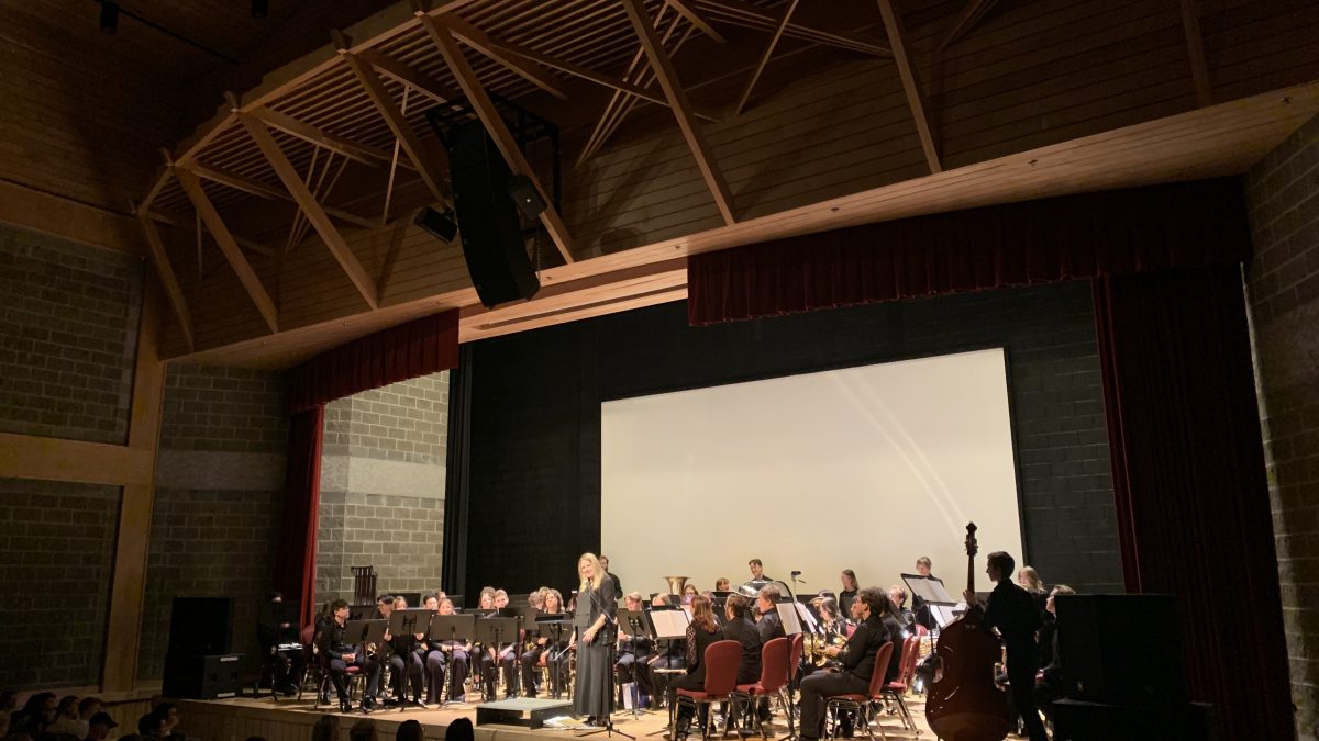 a large group of musical performers on a stage.